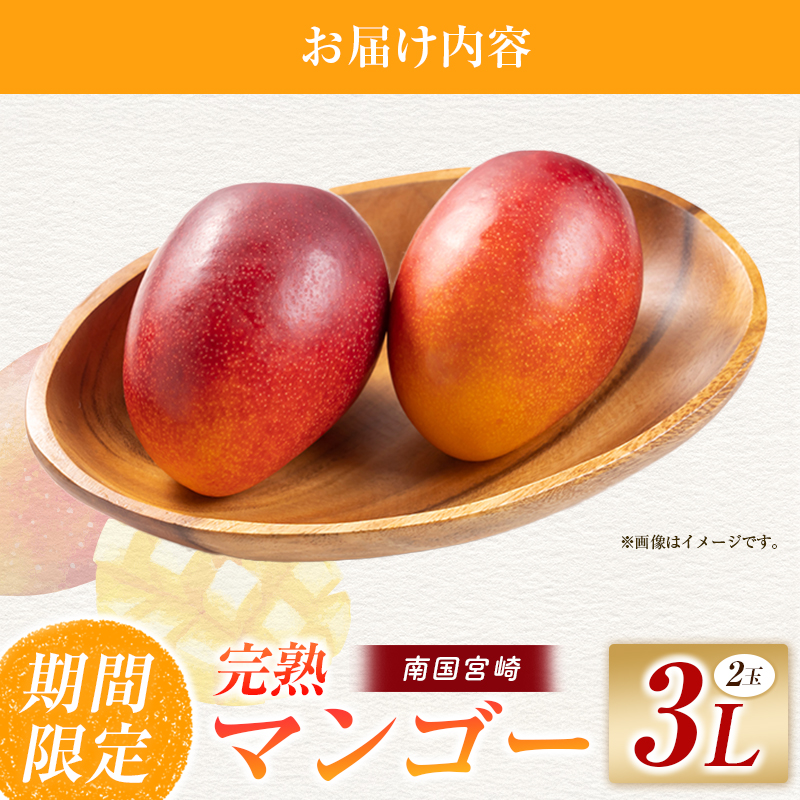 【令和8年発送 先行予約】完熟マンゴー 3L×2玉（フルーツ マンゴー 完熟マンゴー アップルマンゴー 果物 くだもの 先行受付）