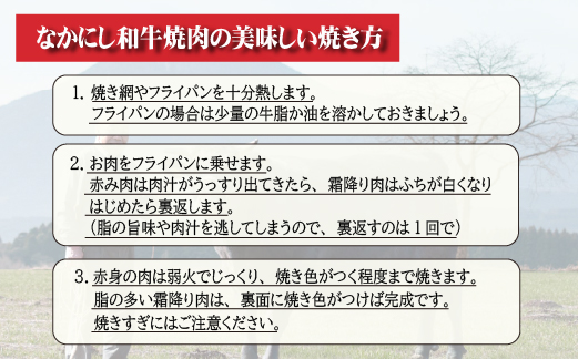 【生産者直送】なかにし和牛赤身焼肉 -特上-（黒毛和牛 小林市産 国産 牛肉 和牛 赤身 焼肉 産地直送 送料無料）