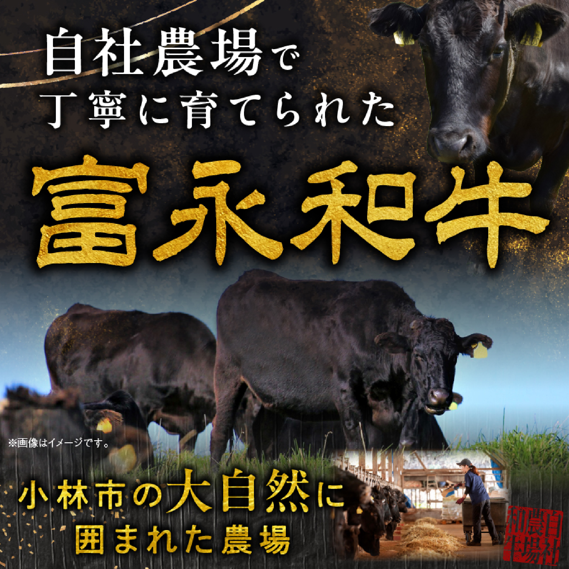 【自社牧場和牛】小林市産 黒毛和牛 赤身ステーキ 200g×4枚（牛肉 国産牛 黒毛和牛 和牛 赤身 ステーキ お肉 宮崎県）