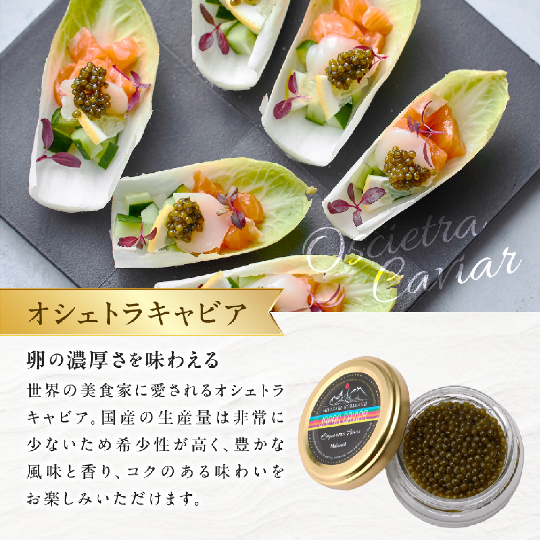 【純国産キャビア】オシェトラキャビア 20g 皇帝の涙 国産 チョウザメ 魚卵 宮崎県