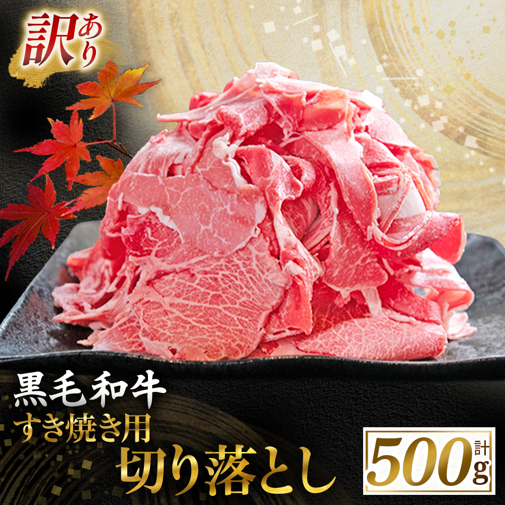 【訳あり】宮崎県産黒毛和牛すき焼き用切り落とし 500g（国産 牛肉 和牛 薄切り スライス 切り落とし 赤身 訳あり）