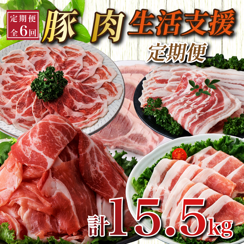 【定期便全6回】生活支援定期便15.5kg(豚切り落とし 豚バラスライス 豚肩ロース しゃぶしゃぶ 肩ロース生姜焼き 豚ロースとんかつ 豚モモウデ切り落とし 国産 九州産）)