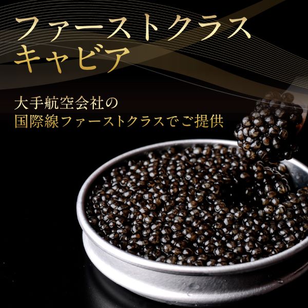 縲仙嵜髫帷キ壹ヵ繧。繝シ繧ケ繝医け繝ゥ繧ケ謗。逕ィ縲大ョョ蟠弱く繝」繝薙い1983縲20g