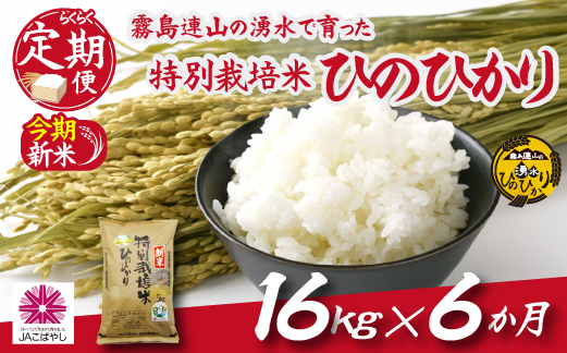 【お米の定期便／６か月コース】霧島連山の湧水ヒノヒカリ特別栽培米16kg（定期便 国産 米 新米 令和６年新米 精米済み 特栽米 送料無料）