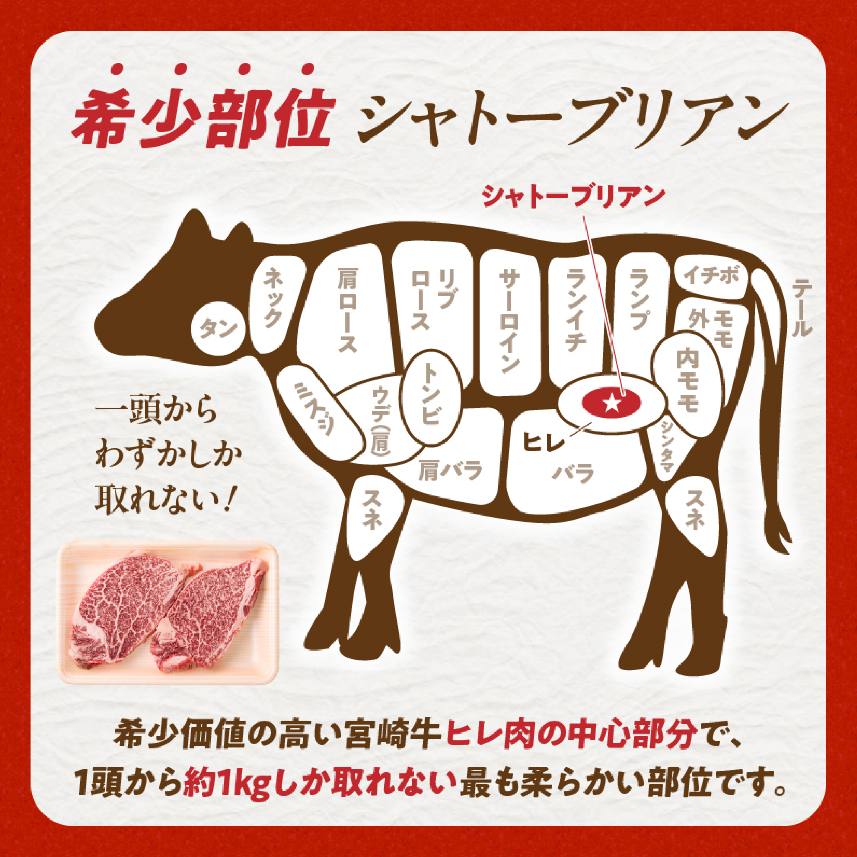 【A4等級以上】宮崎牛シャトーブリアン 2枚 計300g（内閣総理大臣賞 A4 A5 宮崎牛 牛肉 黒毛和牛 赤身 希少部位 焼肉 ステーキ）