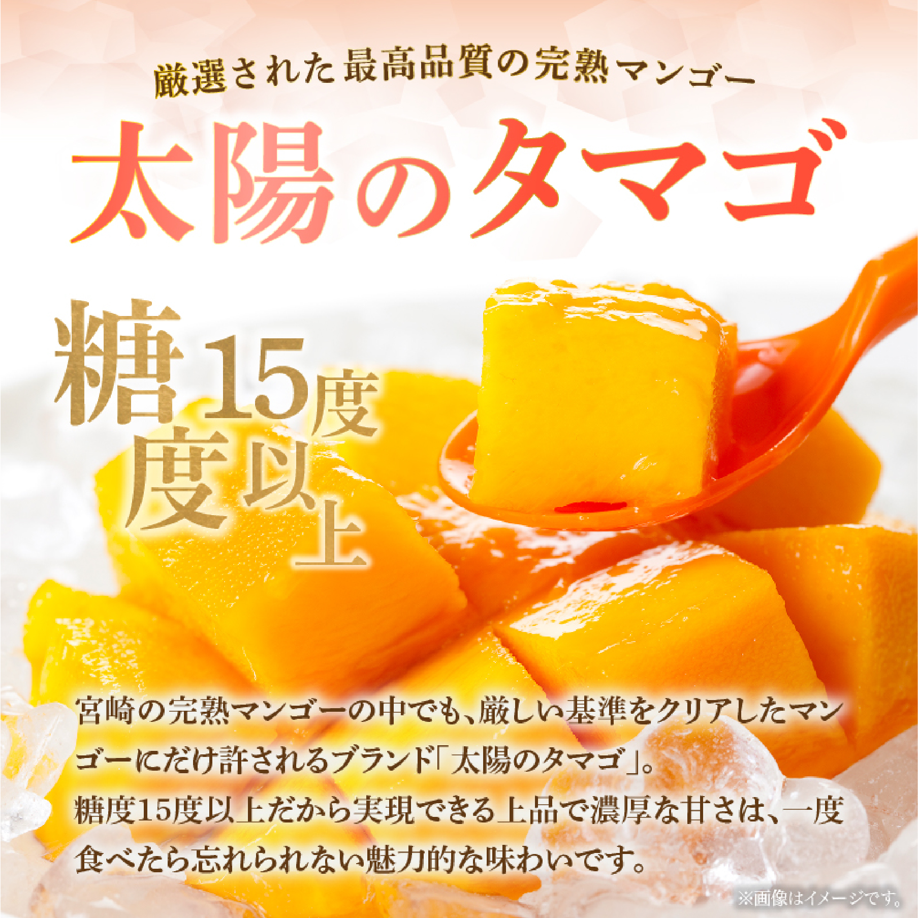 【数量限定・先行受付】厳選宮崎完熟マンゴー「太陽のタマゴ」　よくばり３玉　計１キロ程度（フルーツ 2025 マンゴー 先行予約 太陽のタマゴ 宮崎 小林市 果物 人気）