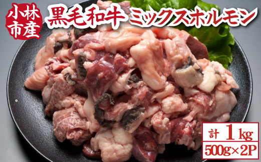 【自社農場和牛】黒毛和牛ミックスホルモン 1kg（500g×2P 国産 牛肉 黒毛和牛 ホルモン 焼肉 BBQ 冷凍）