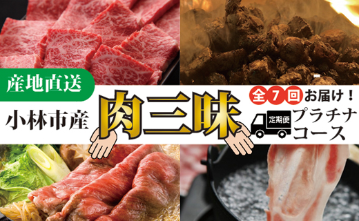 【定期便・全7回】小林市産肉三昧プラチナコース（国産 牛肉 国産牛 和牛 黒毛和牛 豚肉 鶏肉 すき焼き しゃぶしゃぶ 焼肉 定期便）