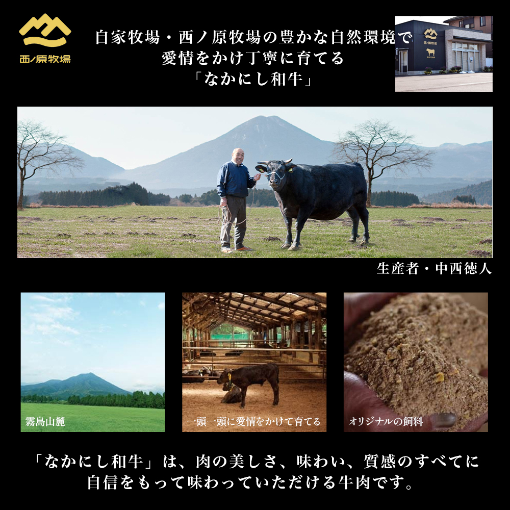 宮崎県西ノ原牧場・なかにし和牛訳あり不揃い切り落とし焼肉 500g（国産 牛肉 肉 宮崎牛 黒毛和牛 お肉 切り落とし なかにし和牛 焼肉 人気 訳あり 不揃い ）