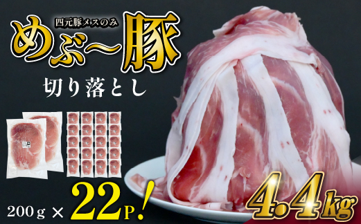 【年末限定受付！】地元ブランド豚 "めぶ～豚" 贅沢 切り落とし 4.4kg（200g×22P 豚肉 豚 お肉 切り落とし こま切れ 小間切れ 小分け 限定）