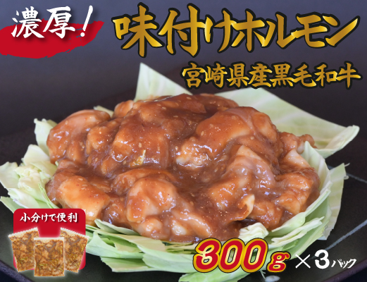 宮崎県産黒毛和牛濃厚味付けホルモン900g（ 牛 国産 ホルモン 300g 3パック 焼肉 炒め物）