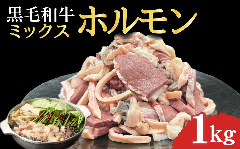 宮崎県産 ミックス ホルモン 500g×2P 計1kg（牛肉 肉 ホルモン 黒毛和牛 もつ鍋 焼肉 鍋）