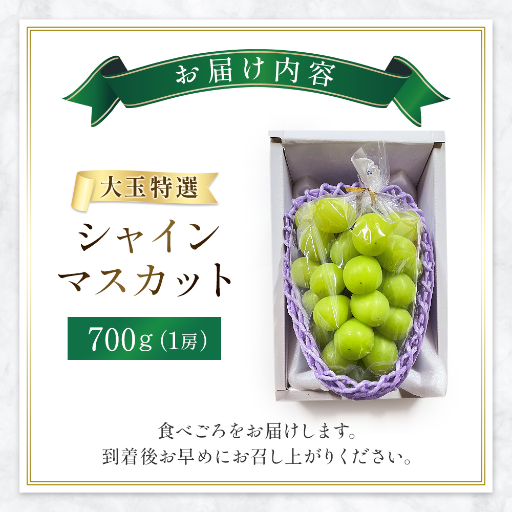 【令和8年発送・先行予約】大玉 シャインマスカット 700g（ぶどう ブドウ シャインマスカット シャイン マスカット フルーツ 果物 くだもの 旬 先行受付 2026 産地直送 限定）