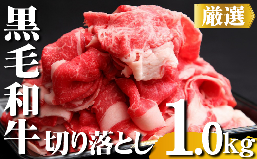 【黒毛和牛専門店直送】厳選黒毛和牛切り落とし 1.0kg（500g×2P 国産 牛肉 和牛 薄切り スライス 切り落とし 赤身 訳あり 特別提供）