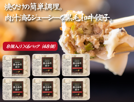 【数量限定】黒毛和牛100％餃子 計48個（8個×6P 黒毛和牛 餃子 ギョーザ 中華 限定 冷凍）