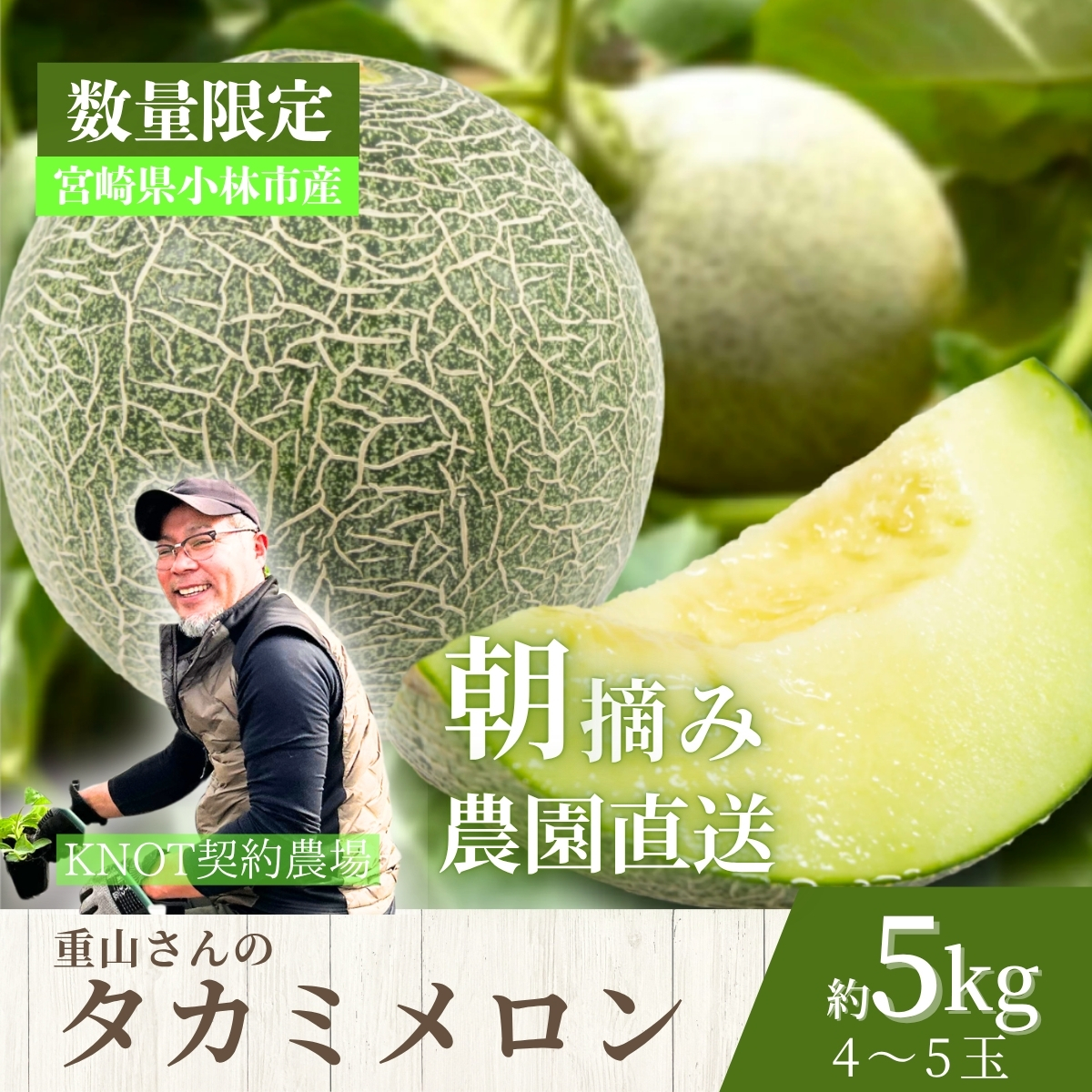 生産農家応援・もぎたて直送 タカミメロン 5kg程度（メロン フルーツ 果物 くだもの 先行受付 2026 宮崎）