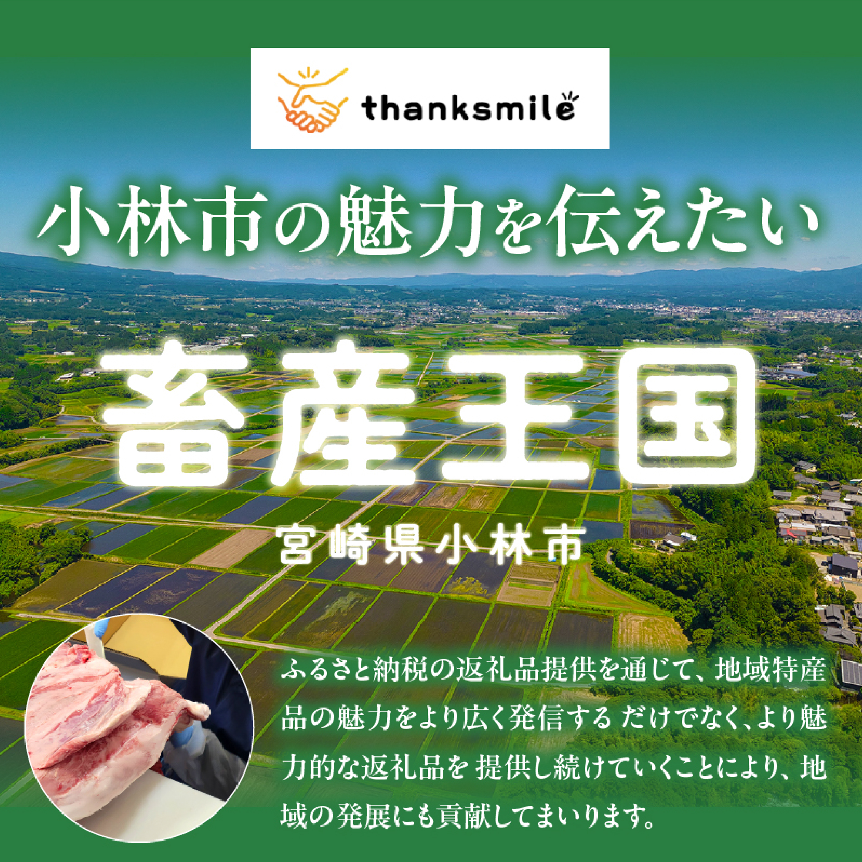 【A4等級以上】宮崎牛ミスジステーキ 2枚 計300g（内閣総理大臣賞 A4 A5 宮崎牛 牛肉 黒毛和牛 赤身 霜降り ステーキ 希少部位 宮崎県）