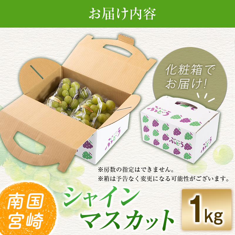 【令和8年発送 先行予約】小林市産 シャインマスカット 1kg（ブドウ ぶどう シャインマスカット マスカット フルーツ 果物 先行受付 限定）