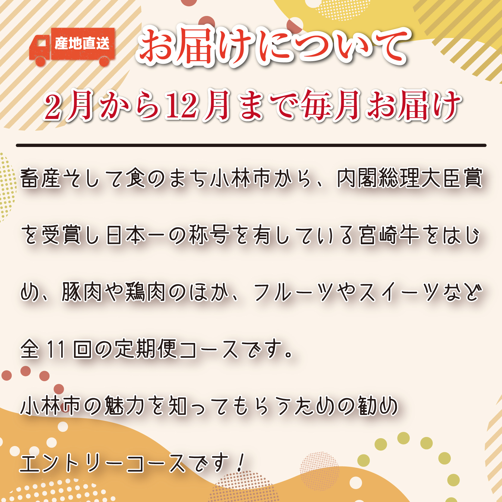 【定期便・全11回】日本一宮崎牛と小林市の魅力満載!!! 小林満足ワクワク定期便 30万円コース（国産 牛肉 国産牛 黒毛和牛 マンゴー お菓子 豚肉 鶏肉 キャビア 定期便）