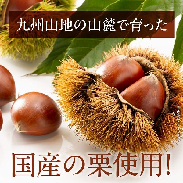 須木栗マロングラッセ<100g×2箱：すき特産>（菓子 焼き菓子 スイーツ 栗 マロングラッセ 個包装 小分け 人気 地域限定 お土産 宮崎 小林市）