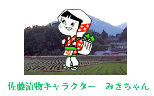 【国産素材の宮崎お漬物】湧水仕込みのお漬物　ごはんのお供よくばりセット