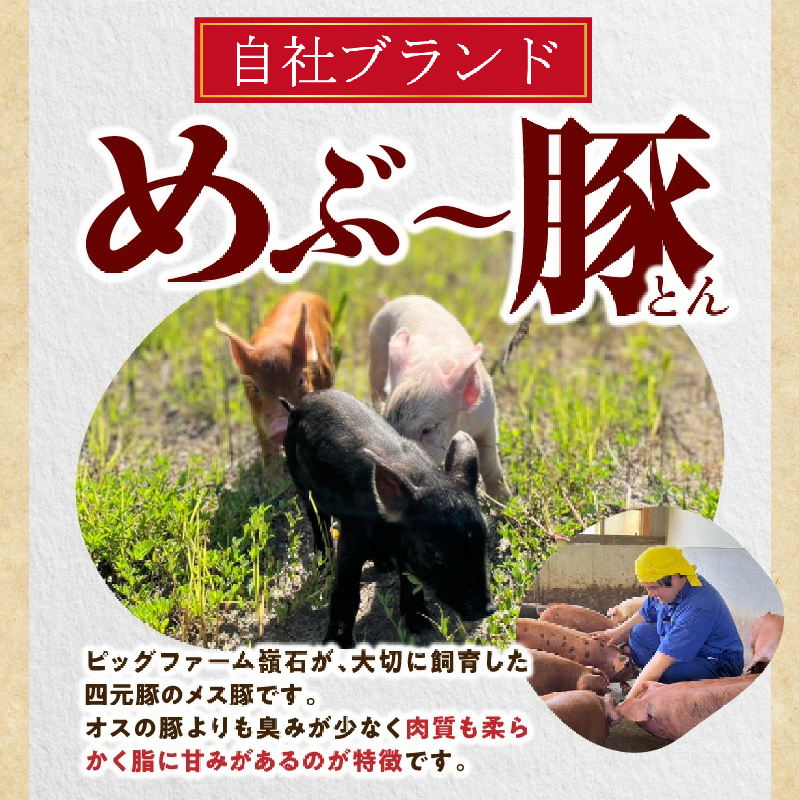 ãå°å
ãã©ã³ãè±ããã¶ïœè± è±ãã©ã»è©ããŒã¹ çŒè èš1.5kgïŒè±è è± ãè ãã© ããŒã¹ çŒèçš BBQ å°åã éå®ïŒ