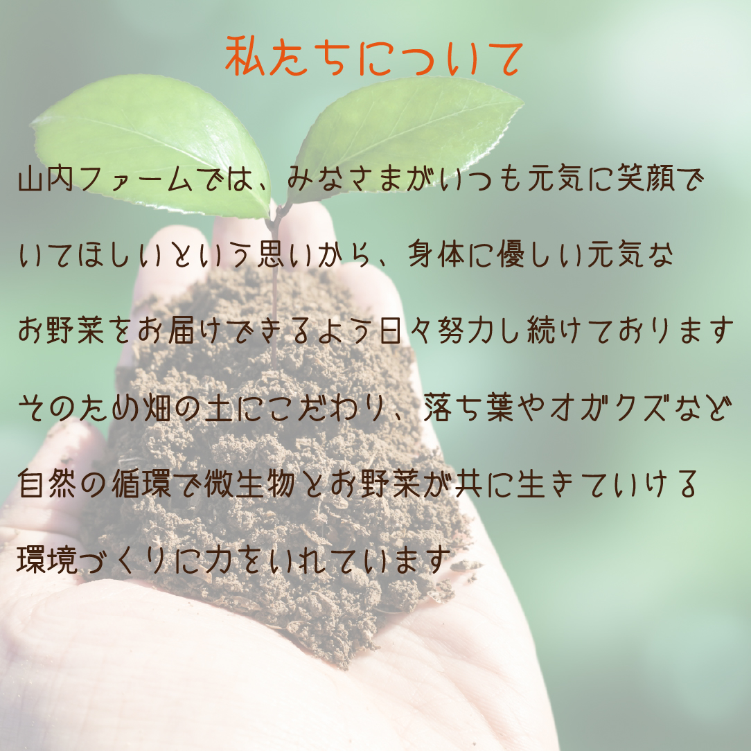 縲仙ョ壽悄萓ソ 蜈ィ3蝗槭大ュ」遽縺ョ驥手除隧ー繧∝粋繧上○繧サ繝繝茨シ域眠魄ョ 謗。繧後◆縺ヲ 驥手除 繧サ繝繝 螳壽悄萓ソ 隧ー繧∝粋繧上○ 螳ョ蟠守恁シ