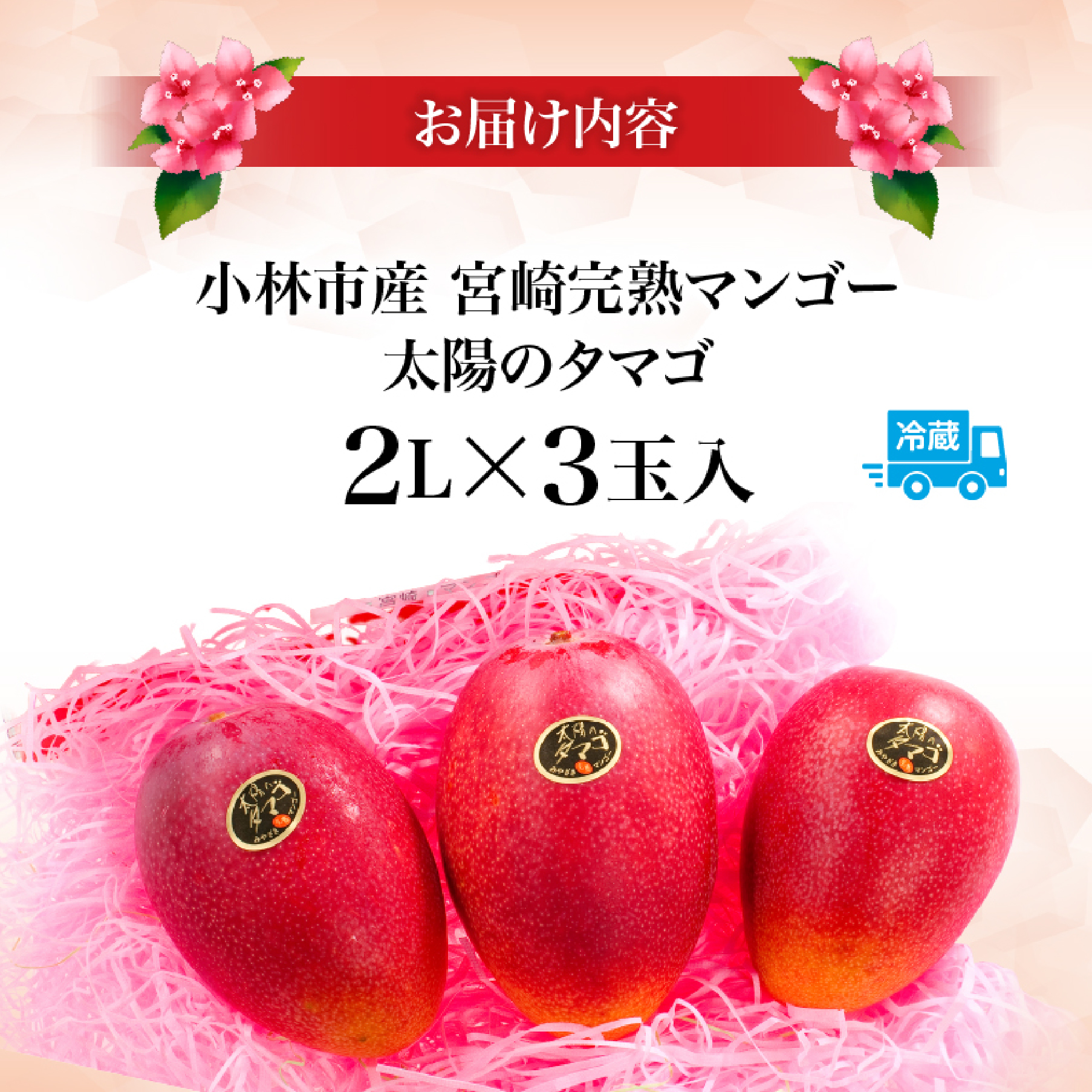 【数量限定・先行受付】厳選宮崎完熟マンゴー「太陽のタマゴ」　よくばり３玉　計１キロ程度（フルーツ 2025 マンゴー 先行予約 太陽のタマゴ 宮崎 小林市 果物 人気）