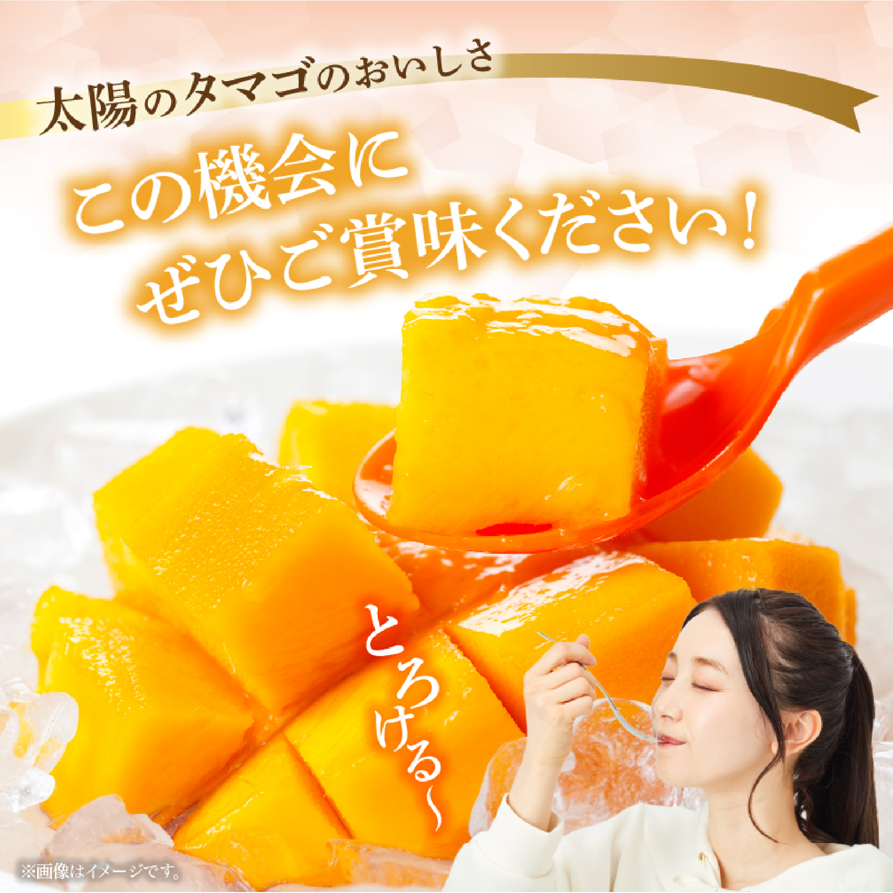 【数量限定・先行受付】厳選宮崎完熟マンゴー「太陽のタマゴ」　よくばり３玉　計１キロ程度（フルーツ 2025 マンゴー 先行予約 太陽のタマゴ 宮崎 小林市 果物 人気）