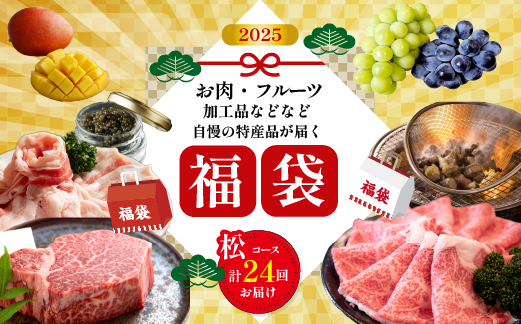 【定期便・全24回】新春おたのしみ 福袋 松（牛肉 豚肉 鶏肉 果物 フルーツ 2025 限定 定期便 先行予約 宮崎 小林市）