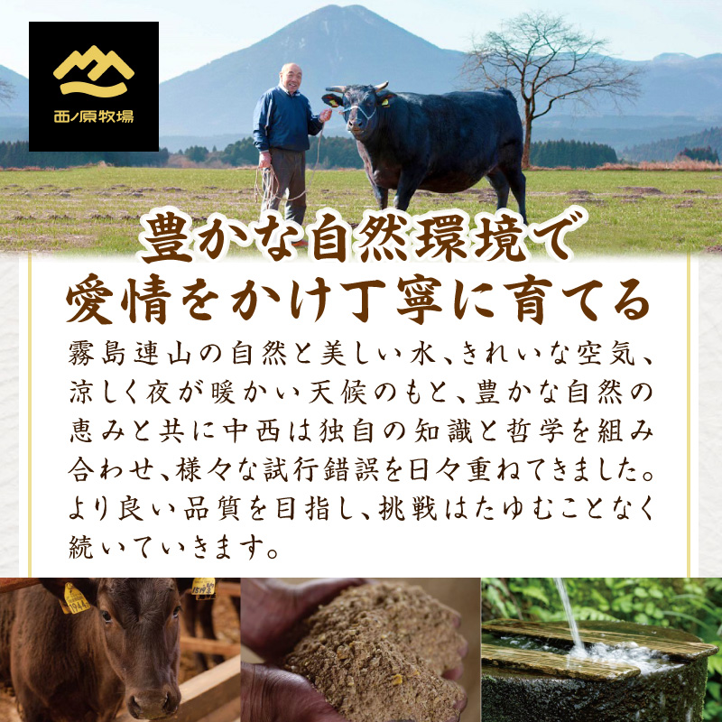 宮崎県西ノ原牧場・なかにしプレミアム和牛ヒレ焼肉用 300g（ヒレ A4 A5 国産 牛肉 肉 黒毛和牛 お肉 焼肉 BBQ 赤身 限定）