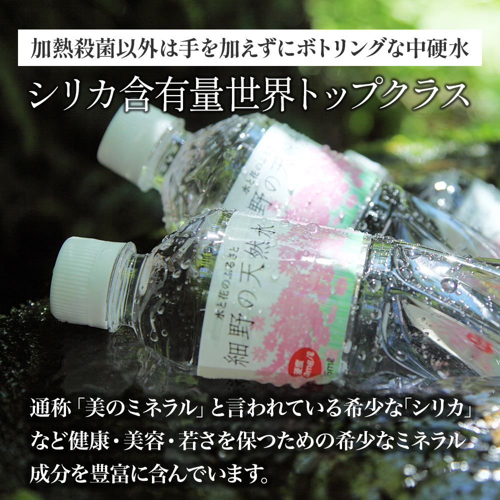 【ミネラルたっぷり天然水】細野の天然水 555ml×24本 2箱（国産 ナチュラルウォーター ミネラルウォーター ラベルレス 天然水 水 555ml 中硬水 シリカ 美容 人気 ペットボトル 霧島 宮崎）