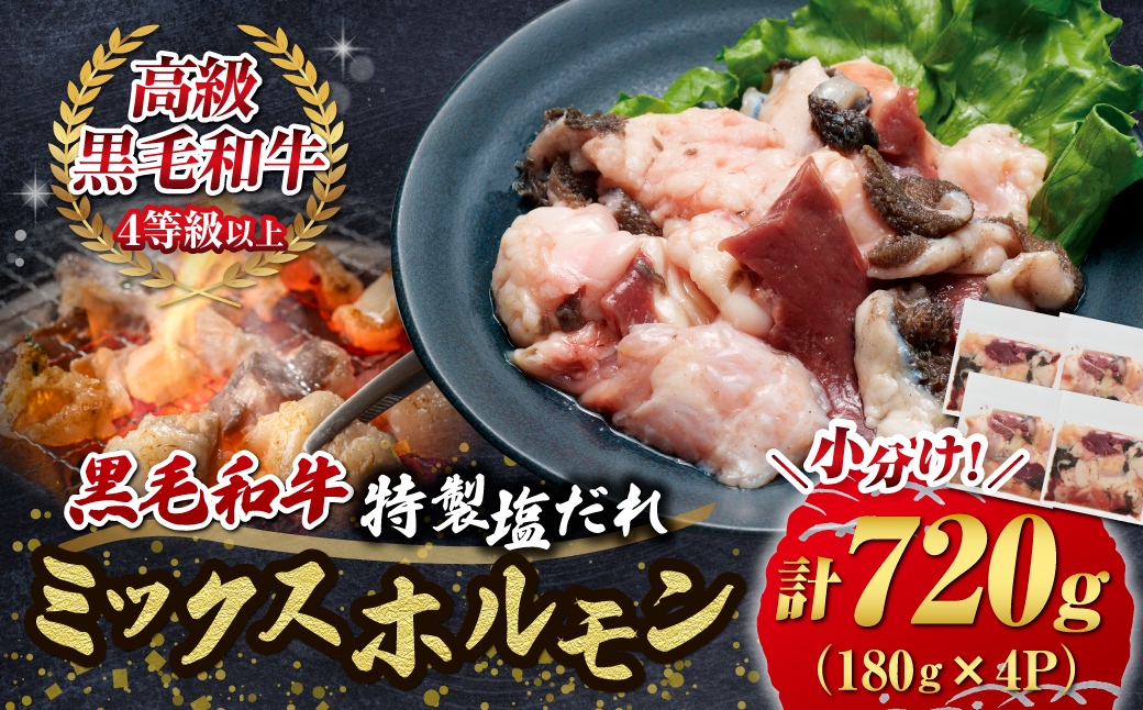 【自社農場和牛】黒毛和牛 特製塩だれミックスホルモン 720g（国産 黒毛和牛 宮崎牛 牛肉 塩だれ ホルモン ミックスホルモン 冷凍 宮崎県 小林市）