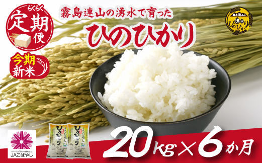 【お米の定期便／６か月コース】霧島連山の湧水ヒノヒカリ20kg（定期便 国産 米 新米 令和６年新米 精米済み 送料無料）