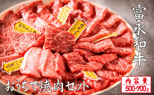 【自社農場和牛】富永和牛おうちで焼肉セット（国産 牛肉 和牛 赤身 霜降り 焼肉 BBQ 限定）