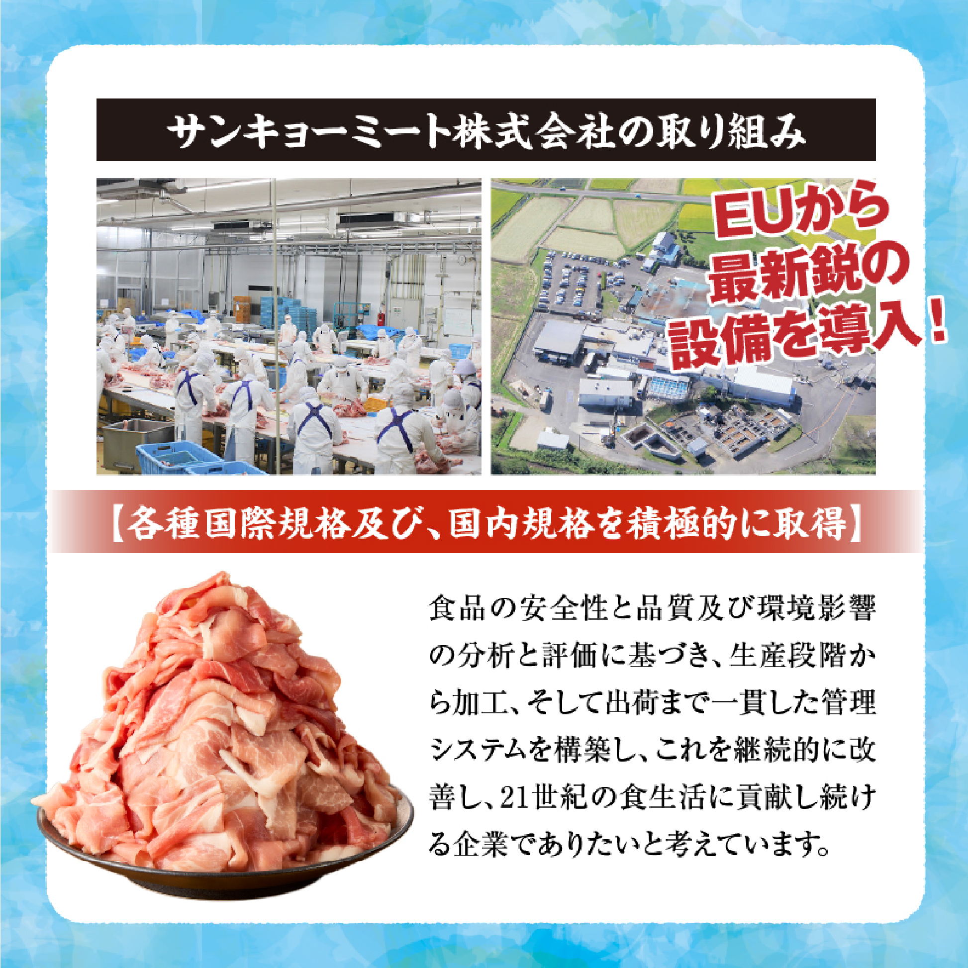 【大容量!!】九州産豚小間切れ 9kg 300g×30P（国産 豚 豚肉 小間切れ 豚小間 豚こま 切り落とし 真空 小分け 冷凍 宮崎県 小林市 ）