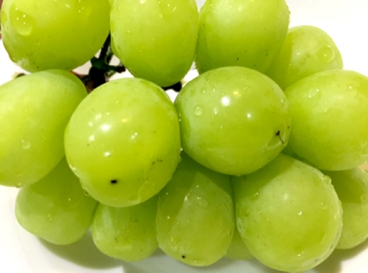 【先行受付・産直もぎたて】ご褒美シャインマスカット２房（約1.1kg ブドウ シャインマスカット 先行 予約 産地直送 新鮮）