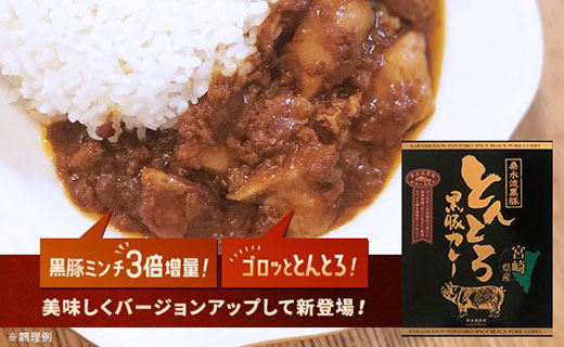 【ご当地カレー】黒豚トントロ肉とあらびきミンチの濃厚“とんとろカレー”