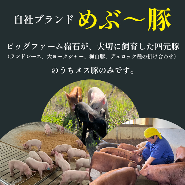 【地元ブランド豚】めぶ～豚　豚ミンチ1.6kg（豚肉　ぶたにく　ミンチ）