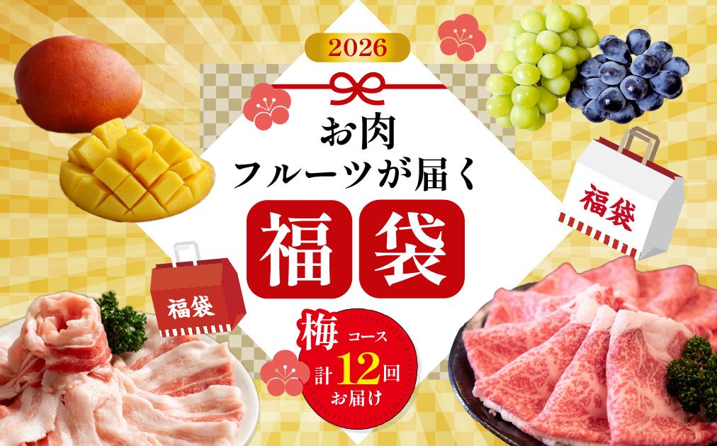 【定期便・全12回】新春おたのしみ 福袋 竹（牛肉 豚肉 鶏肉 果物 フルーツ 2026 限定 定期便 宮崎 小林市）