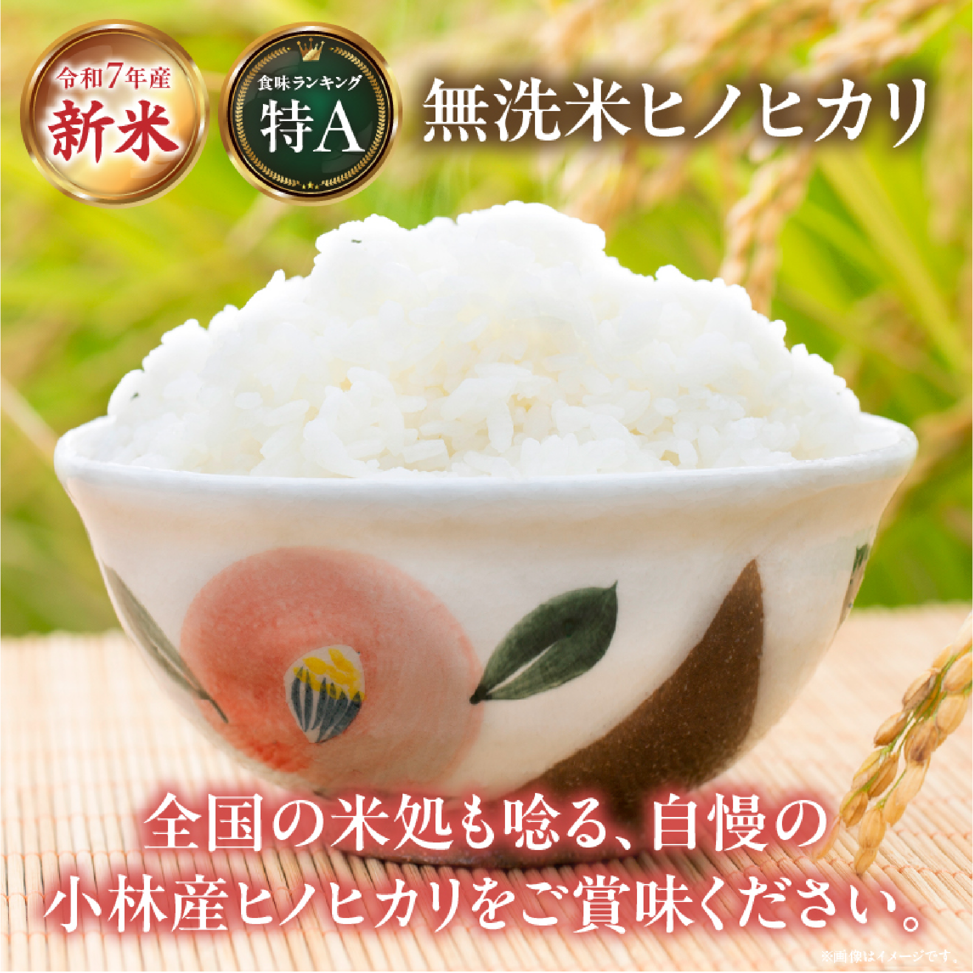 【定期便 全3回】令和7年産米 無洗米ヒノヒカリ 5kg×3回 計15kg（お米 米 新米 ヒノヒカリ 無洗米 国産 人気 お弁当 宮崎県 小林市）