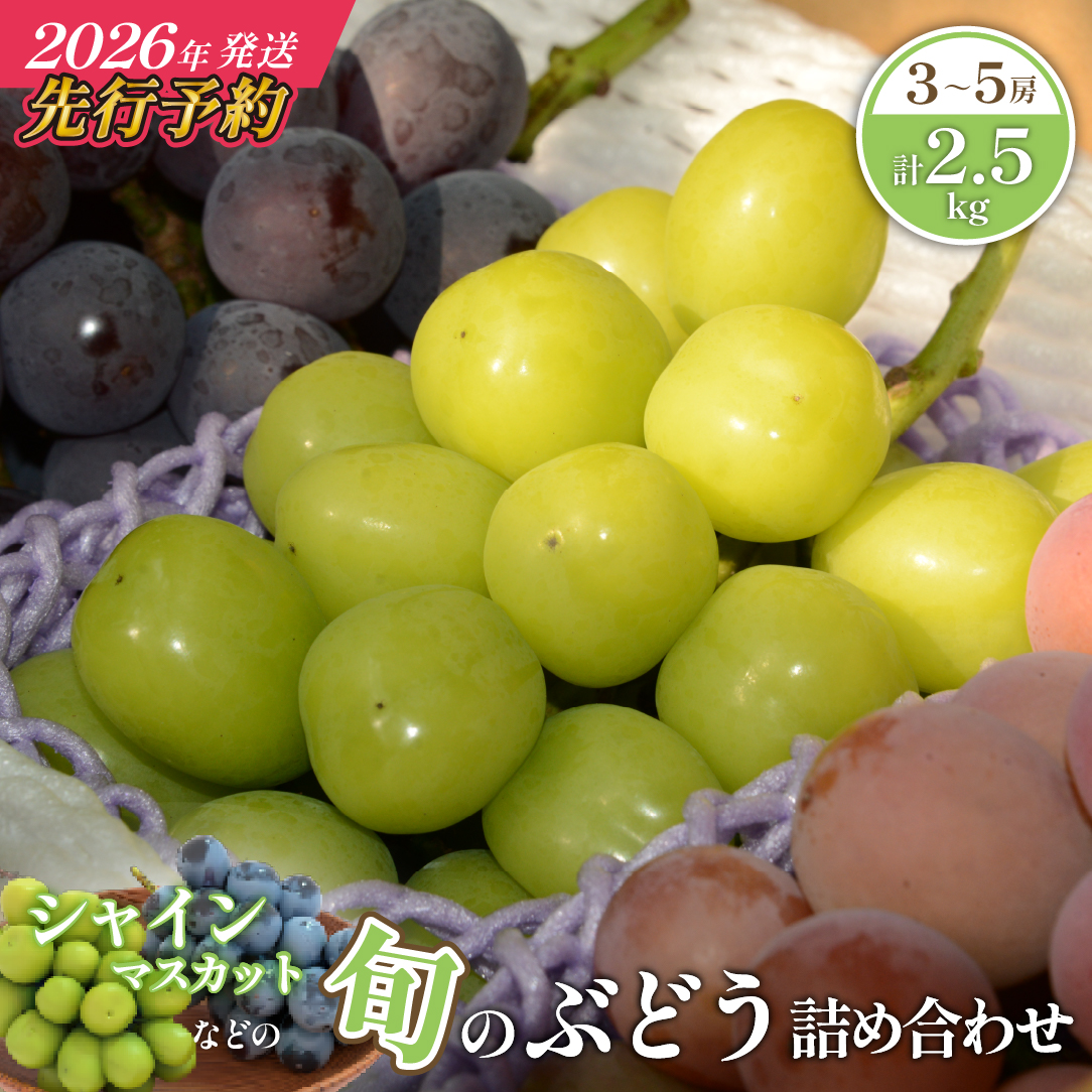 ãå
è¡äºçŽ/2026幎çºéãã·ã£ã€ã³ãã¹ã«ããçã®æ¬ã®ã¶ã©ãè©°ãåãã 2.5kgïŒã·ã£ã€ã³ãã¹ã«ãã ã¶ã©ã ãã㊠æç© ã»ãã è©°ãåãã ãã«ãŒã 2026 èŽççš éå®ïŒ