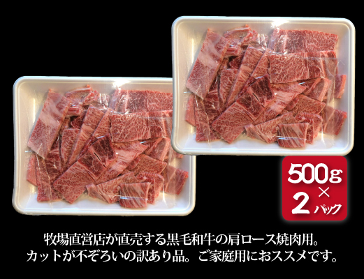 【訳あり】黒毛和牛肩ロース不揃い切り落とし焼肉 500ｇ×2P（国産 牛肉 和牛 黒毛和牛 宮崎県産 不揃い 訳あり 焼肉 ロース 送料無料）