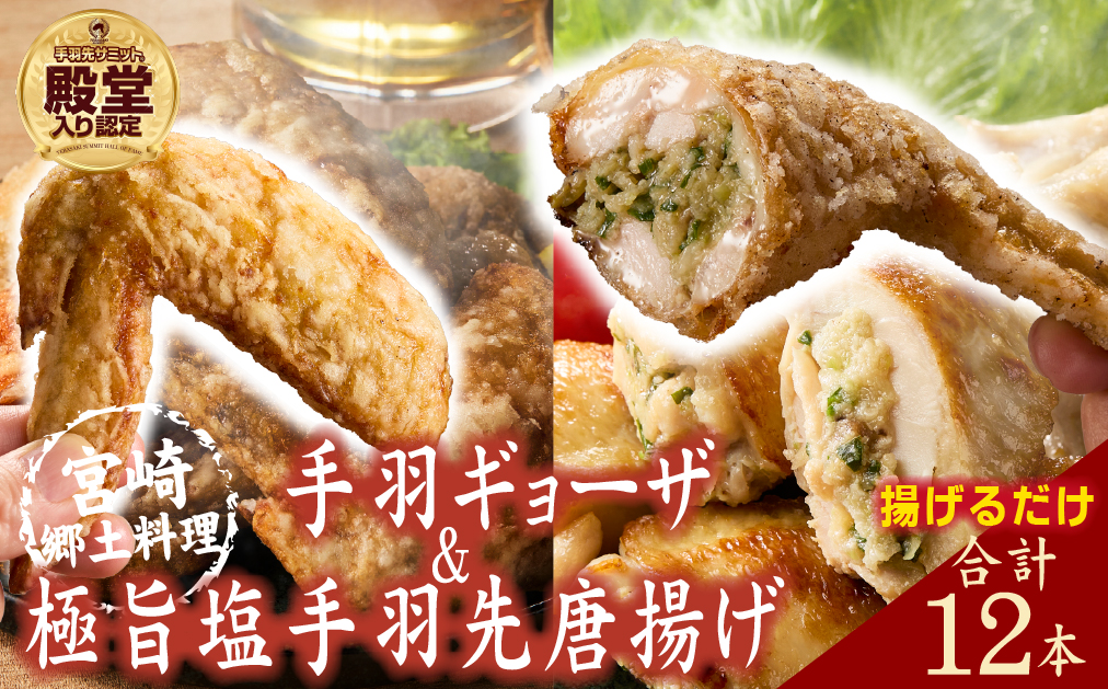 【手羽先サミット殿堂入り！】極旨塩 手羽先 唐揚げ 手羽ギョーザ セット 計12本（国産 鶏肉 手羽先 ギョウザ 餃子 塩 味付き 人気）
