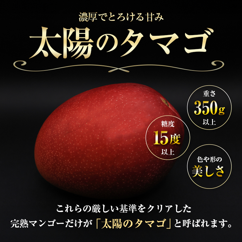 【令和8年発送 先行予約】完熟マンゴー「太陽のタマゴ」 3L×2玉（フルーツ マンゴー 完熟マンゴー アップルマンゴー 果物 くだもの 先行受付）