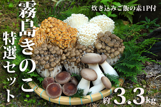 【農場直送】もぎたて霧島きのこと炊き込みご飯の素セット　約3.3kg