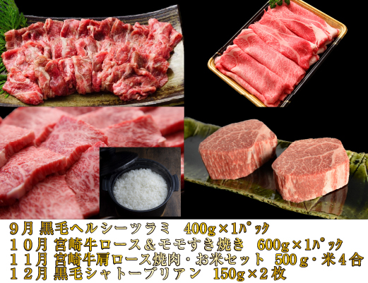 【お肉の定期便】百名店 極コース 全12回（牛肉 和牛 黒毛和牛 宮崎牛 ステーキ シャトーブリアン モモ サーロイン 赤身 定期便）