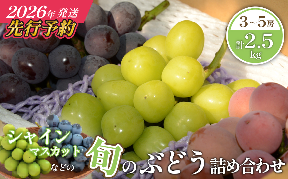 【先行予約/2026年発送】シャインマスカット等の旬のぶどう詰め合わせ 2.5kg(シャインマスカット ぶどう ブドウ 果物 セット 詰め合わせ フルーツ 2026 贈答用 限定)