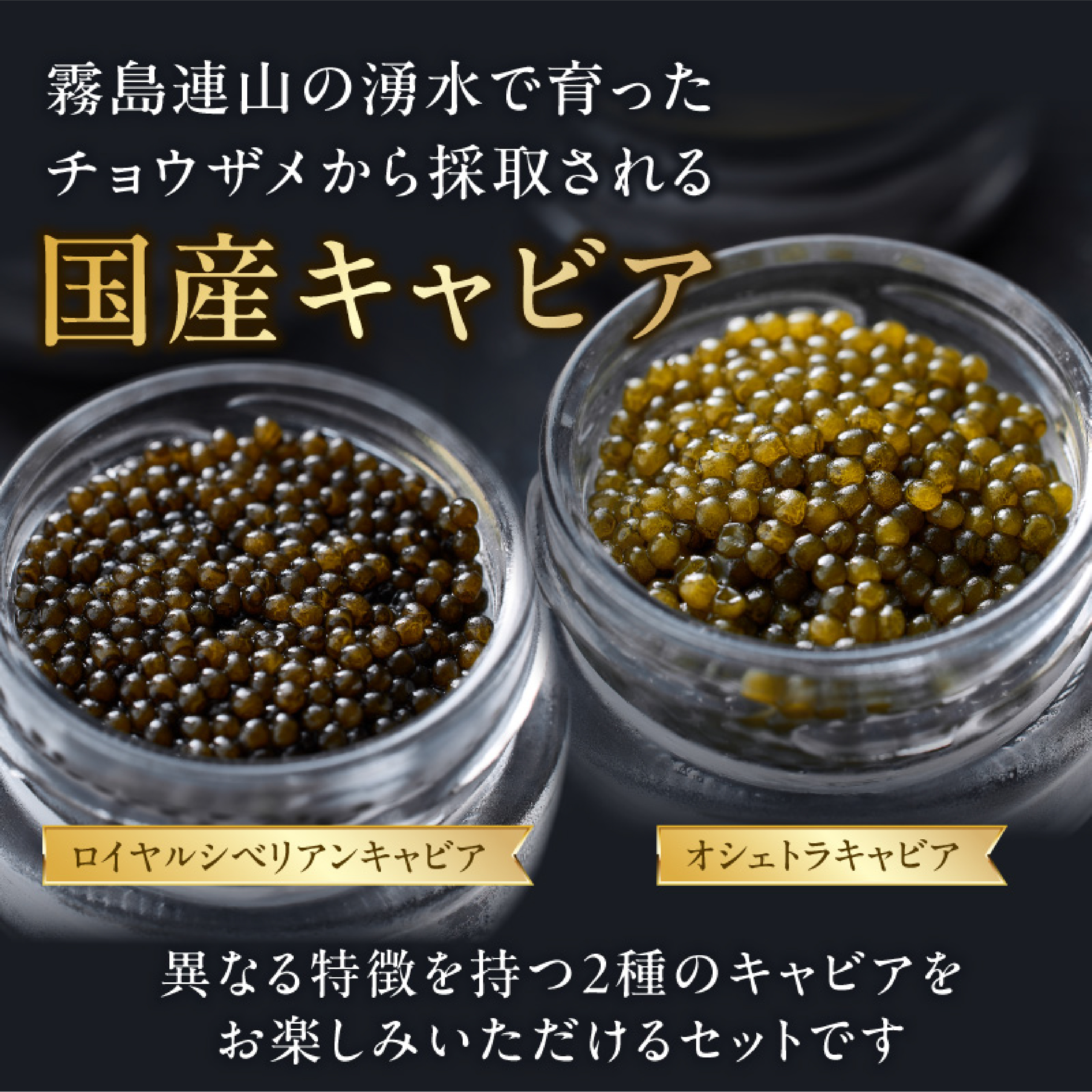 【純国産キャビア】皇帝の涙 2種食べ比べセット 40g 国産 キャビア チョウザメ 宮崎 小林市 食べ比べ