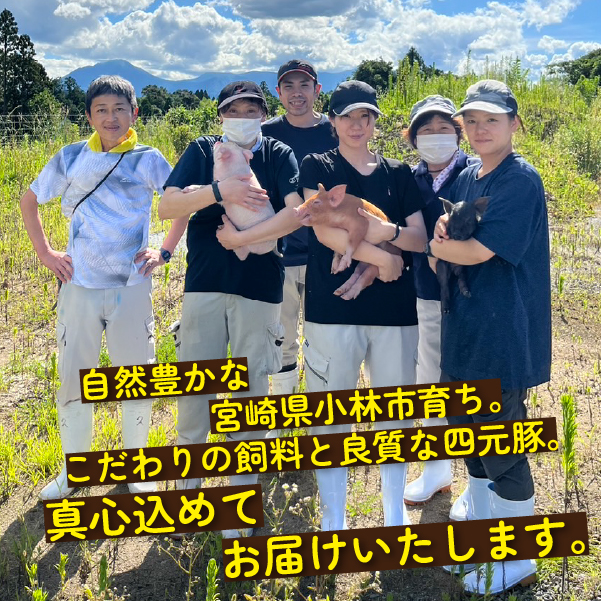 【地元ブランド豚】めぶ～豚　豚ミンチ1.6kg（豚肉　ぶたにく　ミンチ）
